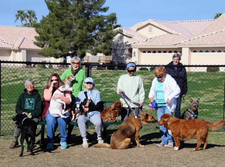 333056883_156264096940074_8869922153896462846_n (1)